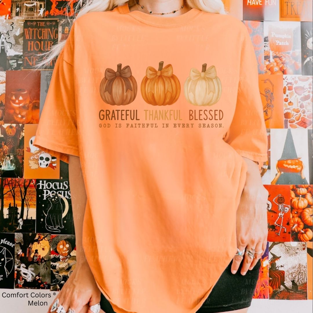 Grateful Thankful Blessed Fall Unisex Tshirt